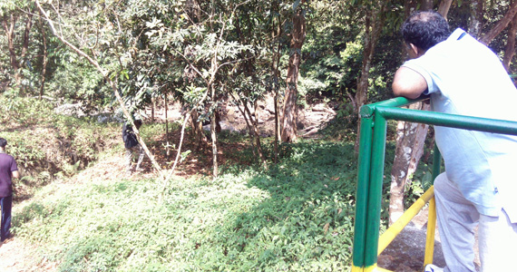Manamballi Trukking