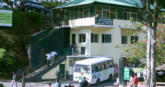 Eravikulam National Park