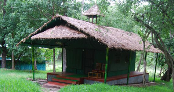 Parambikulam Tent