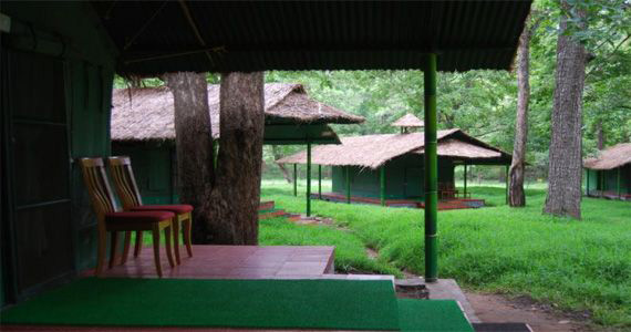 Parambikulam Tent Room