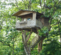 Tribal Village