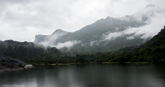 Aliyar
